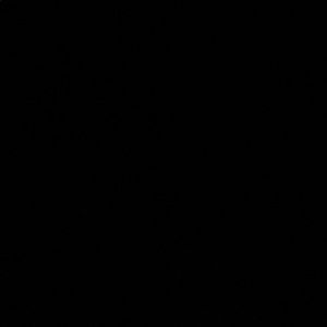 Meet your Posher, Lorna